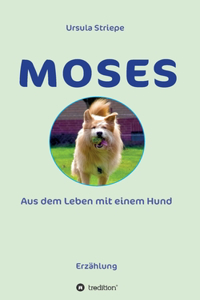 Moses - Aus dem Leben mit einem Hund
