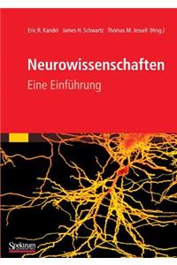 Neurowissenschaften