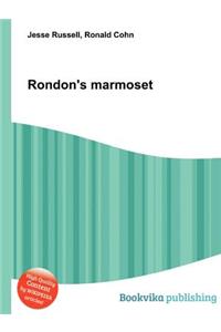 Rondon's Marmoset