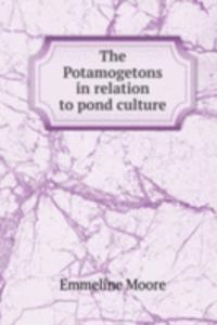 Potamogetons in relation to pond culture