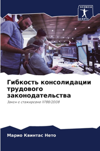 Гибкость консолидации трудового законод&