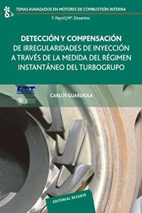 Deteccion Y Compensacion De Irregularidades De Iny