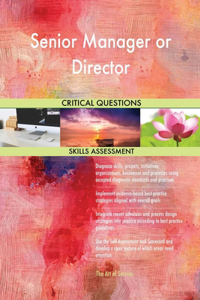 Senior Manager or Director Critical Questions Skills Assessment