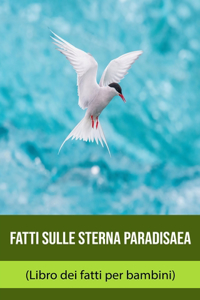 Fatti sulle Sterna paradisaea (Libro dei fatti per bambini)