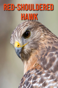 Red-Shouldered Hawk