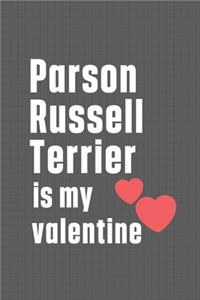 Parson Russell Terrier is my valentine