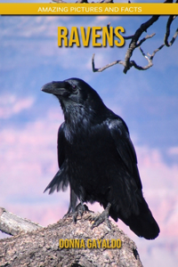 Ravens: Amazing Pictures and Facts