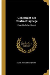 Uebersicht der Strafrechtspflege