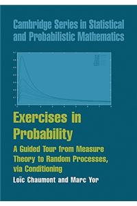 Exercises in Probability