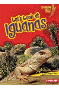 Let's Look at Iguanas