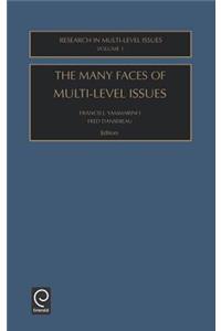 Many Faces of Multi-Level Issues