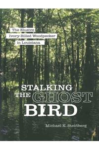 Stalking the Ghost Bird
