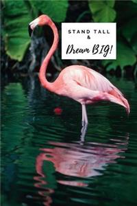 Stand tall & Dream Big!