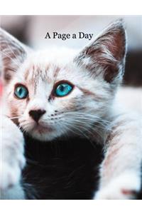 A Page a Day: Medium Lined 8.5 X 11 365 Page College Ruled Notebook, Diary and Journal for the cat lovers among us