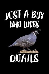 Just A Boy Who Loves Quail