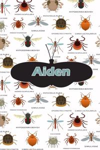 Aiden: Bug Insect Weekly Planer Book Notebook Journal Book 120 Pages 6x9