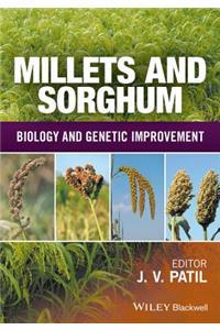 Millets and Sorghum