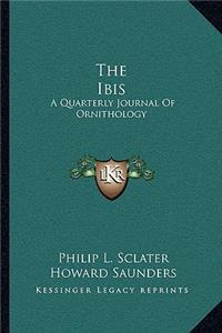 Ibis