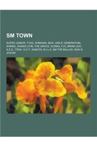 SM Town: Super Junior, Tvxq, Shinhwa, Boa, Girls' Generation, Shinee, Zhang Liyin, the Grace, Iconiq, F(x), Brian Joo, S.E.S.,