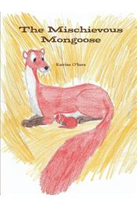 Mischievous Mongoose