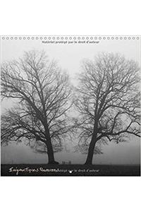 Enigmatiques Ramures 2017