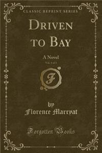 Driven to Bay, Vol. 1 of 3
