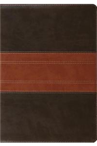 ESV Study Bible