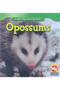 Opossums