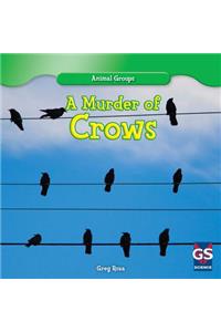 Murder of Crows