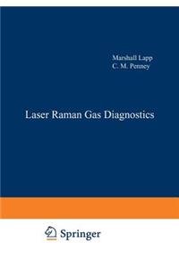 Laser Raman Gas Diagnostics
