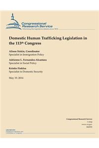 Domestic Human Trafficking Legislation in the 113th Congress