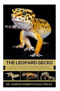 Leopard Gecko