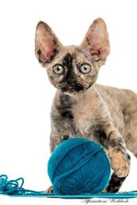 Devon Rex Affirmations Workbook Devon Rex Presents