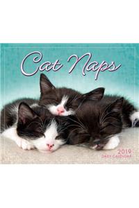 2019 Cat Naps Boxed Daily Calendar: By Sellers Publishing