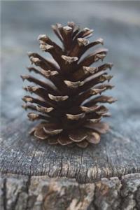The Pine Cone Journal