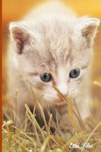 Ethi Pike - Curious Little Ball Of Fluff