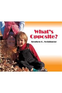 What's Opposite?
