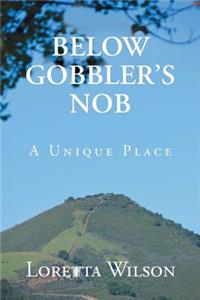 Below Gobblers Nob