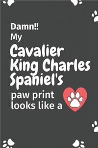 Damn!! my Cavalier King Charles Spaniel's paw print looks like a