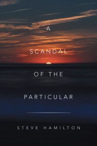 Scandal of the Particular