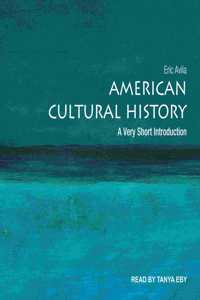 American Cultural History