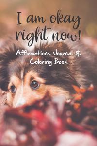 I am okay right now! Affirmations Journal & Coloring Book