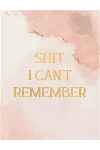 Shit I Can't Remember