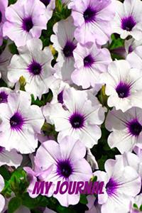 My Journal