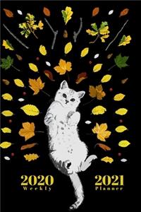 2020 / 2021 Weekly Planner - Two Year Appointment Book Gift - Two-Year Agenda Notebook for Gift For Cat Owners