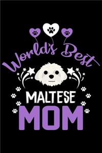 World's best Maltese mom
