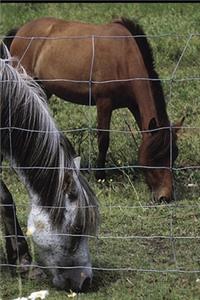 2020 Weekly Planner Horse Photo Equine Grazing Horses 134 Pages