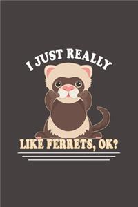 I Just Really Like Ferrets, Ok?