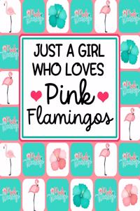 Just A Girl Who Loves Pink Flamingos