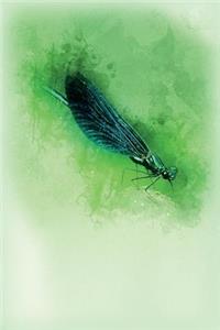 Dragonfly Green Journal